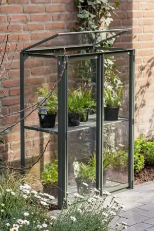 Fabrieksprijs Royal Well Kweekkast Urban Grower Medium 42 x 77 cm